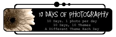 10 Days of Photography
