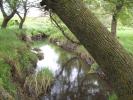 countryside landscapes & stream